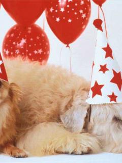 Other Wallpapers 0839